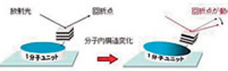 多次元画像科学　佐々木研究室